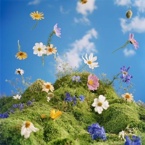 Floating daisies above a mossy garden beneath a blue sky